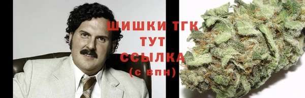 ПСИЛОЦИБИНОВЫЕ ГРИБЫ Армянск